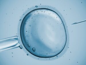 Foto microscopica del genotipado KIR–HLA C